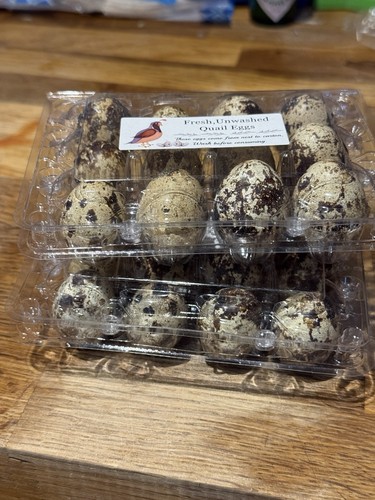 Quail eggs pack - eggs, 12-pack