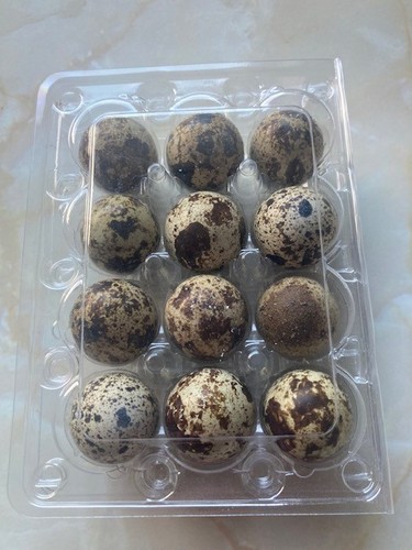 Fresh quail eggs - 36,